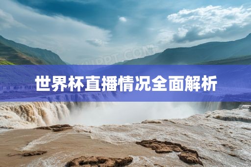 世界杯直播情况全面解析