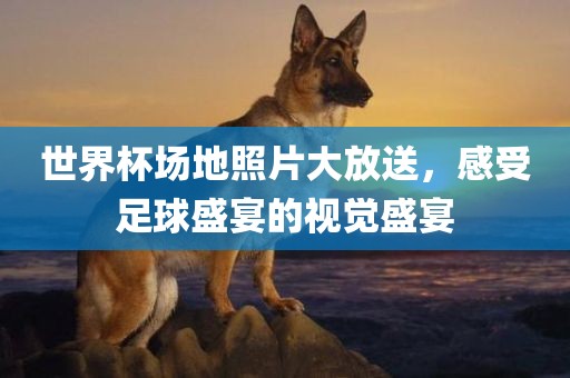 世界杯场地照片大放送，感受足球盛宴的视觉盛宴