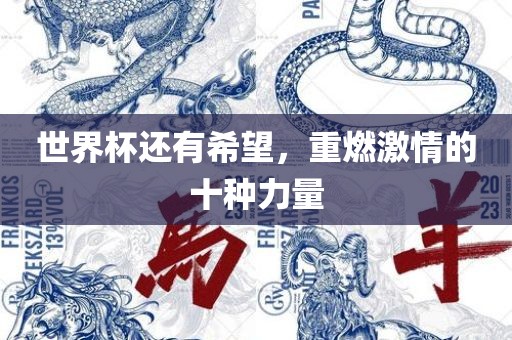 世界杯还有希望，重燃激情洪湖市顺升工程机械租赁有限公司的十种力量