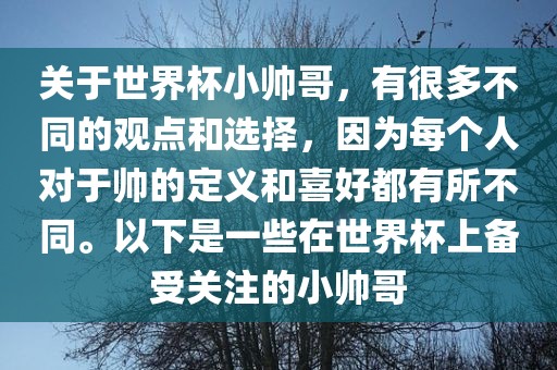 关于世界杯小帅哥，有很多不同的观点和选择，因为每个人对于帅的定义和喜好都有所不同。以下是一些在世界洪湖市顺升工程机械租赁有限公司杯上备受关注的小帅哥