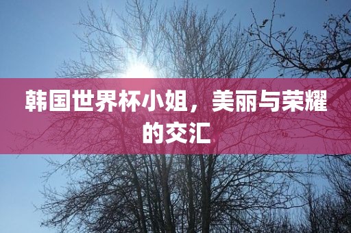 韩国世界杯小姐，美丽与荣耀的交汇洪湖市顺升工程机械租赁有限公司