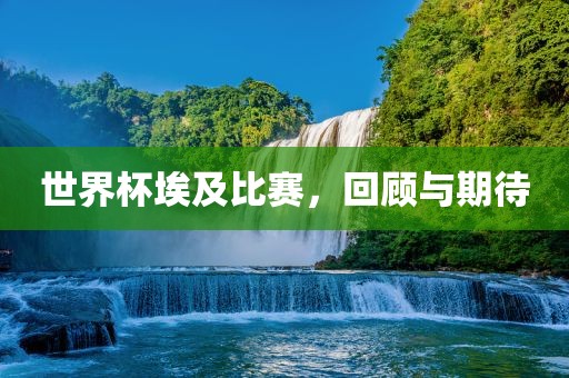 世界杯埃及比赛，回顾与期待