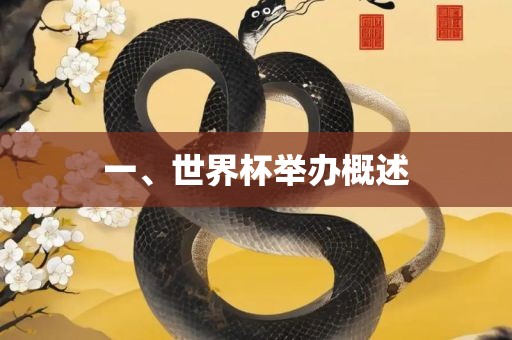 一、世界杯举办概述