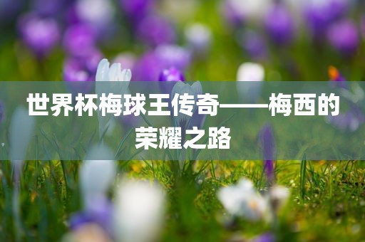 世界杯梅球王传奇——梅西的荣耀之路