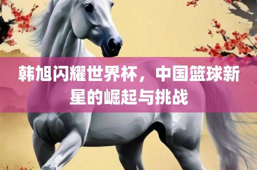韩旭闪耀世界杯，中国篮球新星的崛起与挑战
