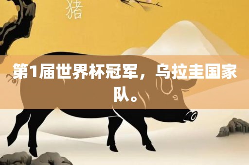 第1届世界杯冠军，乌拉圭国家队。