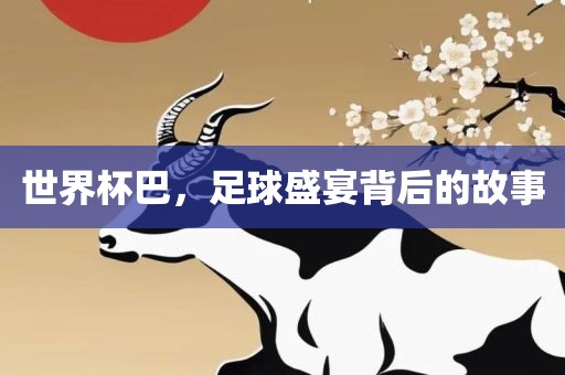 世界杯巴，足球盛宴背后的故事