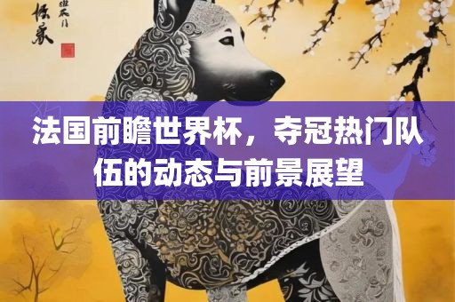 法国前瞻世界杯，夺冠热门队伍的动态与前景展望洪湖市顺升工程机械租赁有限公司