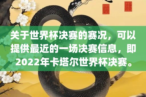 关于世界杯决赛的赛况，可以提供最近的一场决赛信息，即2022年卡塔尔世界杯决赛。洪湖市顺升工程机械租赁有限公司
