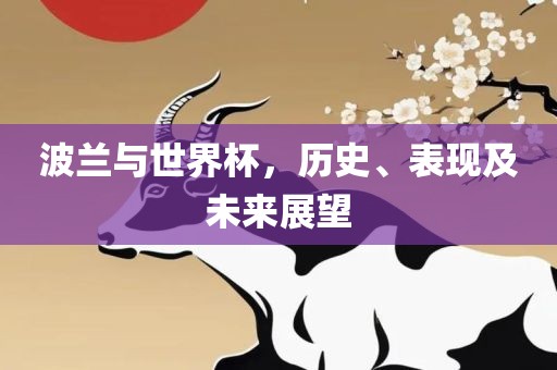 波兰与世界杯，历史、表现及未来展望