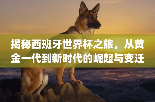 揭秘西班牙世界杯之旅，从黄金一代到新时代的崛起与变迁