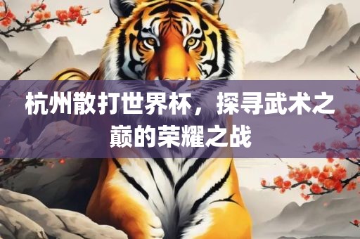 杭州散打世界杯，探寻武术之巅的荣耀之战