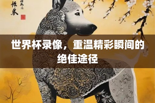 世界杯录像，重温精彩瞬间洪湖市顺升工程机械租赁有限公司的绝佳途径