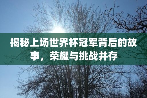 揭秘上场世界杯冠军背后的故事，荣耀与挑战并存