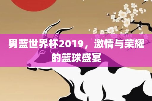 男蓝世界杯2019，激情与荣耀的篮球盛宴
