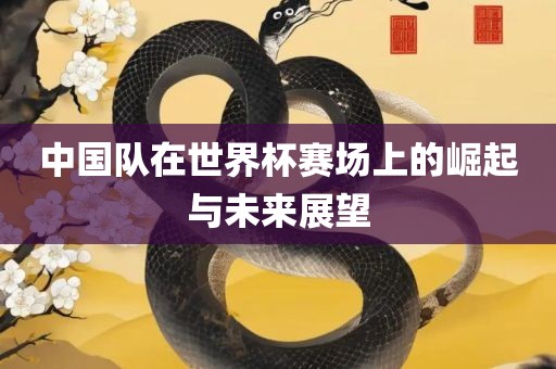 中国队在世界杯赛场上的崛起与未来展望