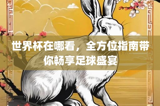 世界杯在哪看，全方位指南带你畅享足球盛宴