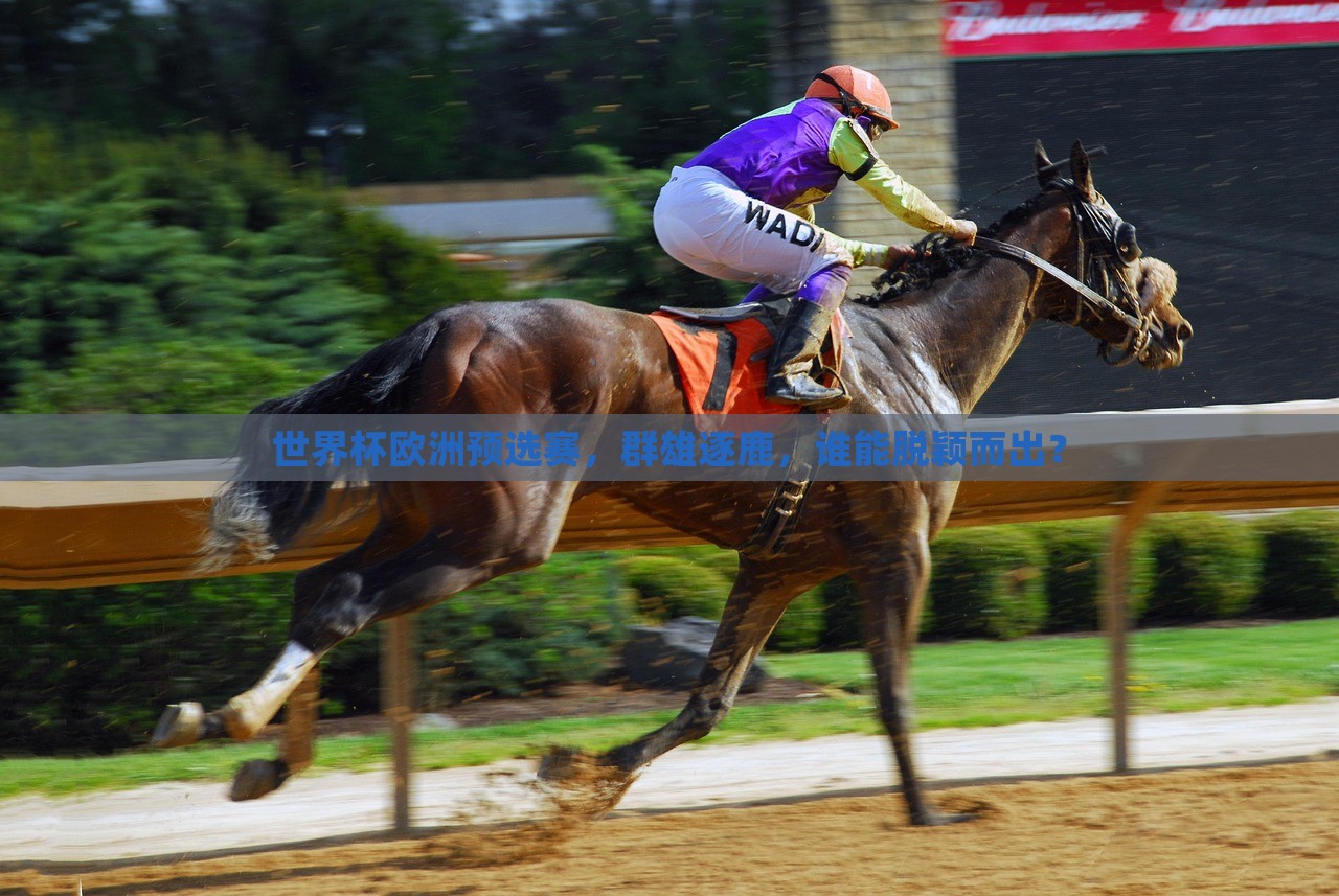 世界杯欧洲预选赛，群雄逐鹿，谁能脱颖而出？洪湖市顺升工程机械租赁有限公司