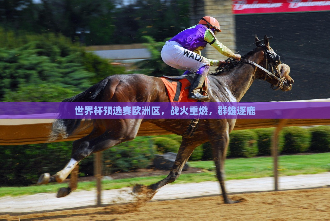 世界杯预选赛欧洲区，战火重燃，群雄逐鹿